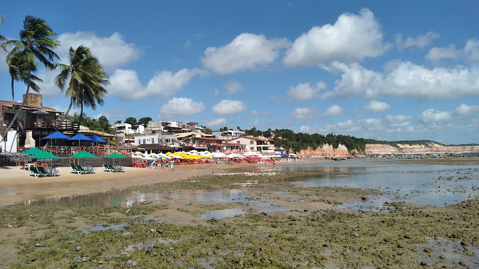 Praia de Pipa photo #7