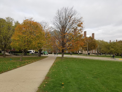 Art Museum «Krannert Art Museum», reviews and photos, 500 E Peabody Dr, Champaign, IL 61820, USA