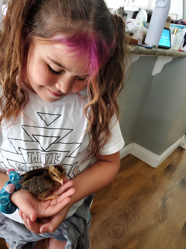 Pet Supply Store «Bradshaw Feed & Pet Supply», reviews and photos, 7285 Bradshaw Rd, Sacramento, CA 95829, USA