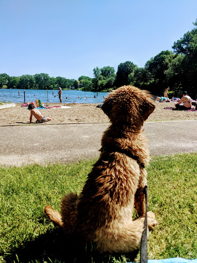 Park «Silver Lake Beach Park», reviews and photos, 4305 NE Stinson Blvd, Columbia Heights, MN 55421, USA
