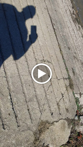 Park «Buffalo Trace Park», reviews and photos, 1540 US-150, Palmyra, IN 47164, USA