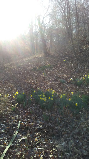 Mattress Store «Amish Mattress Showroom», reviews and photos, 4197 TN-96, Burns, TN 37029, USA