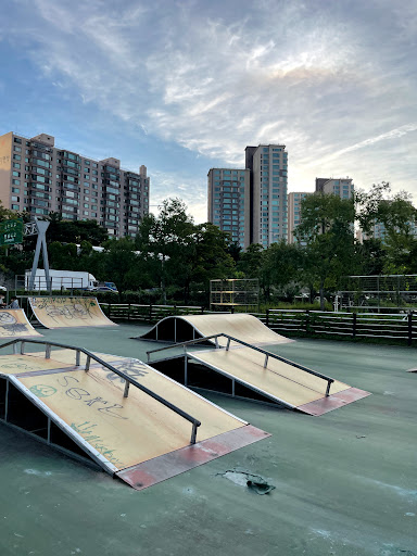 한강 이촌 스케이트 파크(Han river ichon skate park) |