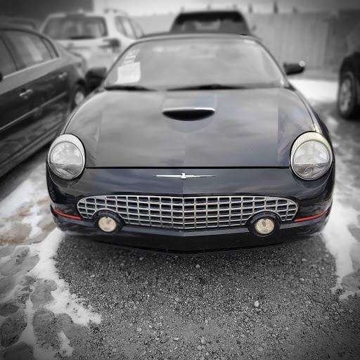 Car Dealer «Al Serra Auto Plaza», reviews and photos, 6167 Saginaw Rd, Grand Blanc, MI 48439, USA