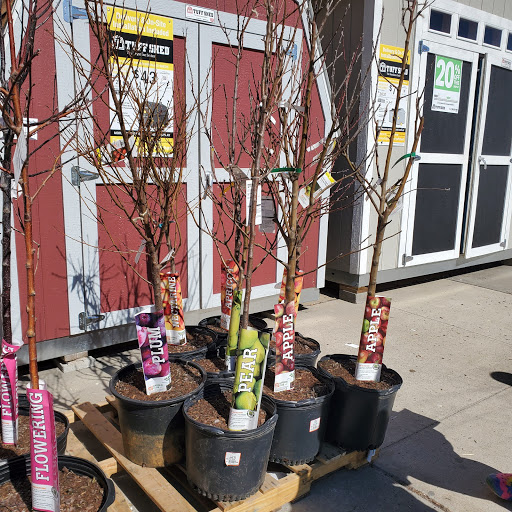 Home Improvement Store «The Home Depot», reviews and photos, 5025 Jericho Turnpike, Commack, NY 11725, USA