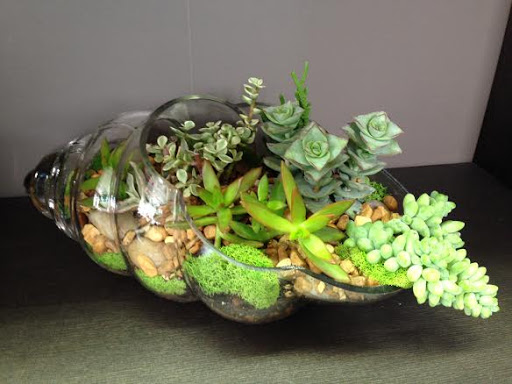 Florist «La Fleur Florals and Events», reviews and photos, 2047 Wilton Dr, Wilton Manors, FL 33305, USA