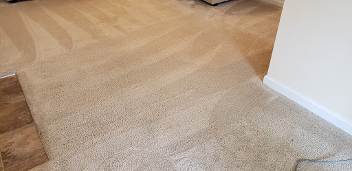 Oxi Fresh Carpet Cleaning