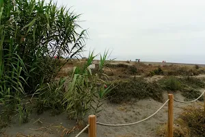 Playa las Dunas image