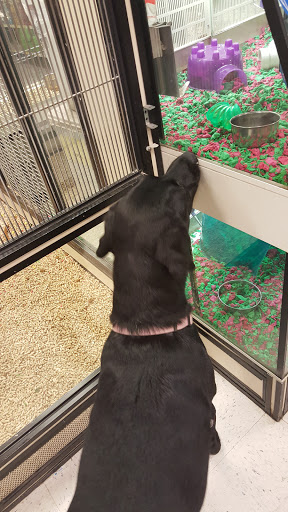 Pet Supply Store «PetSmart», reviews and photos, 1411 S Harbor Blvd, Fullerton, CA 92832, USA