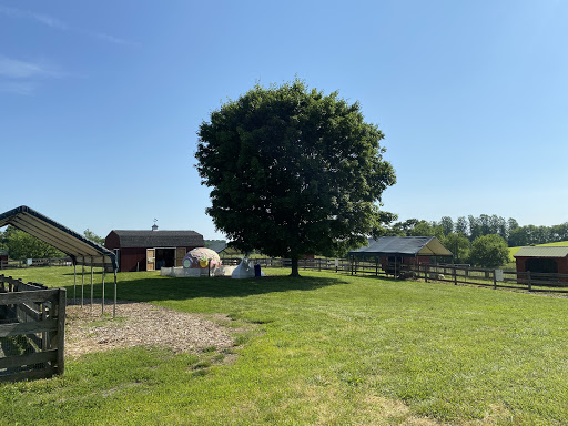 Farm «Clarks Elioak Farm LLC», reviews and photos, 10500 Clarksville Pike, Ellicott City, MD 21042, USA