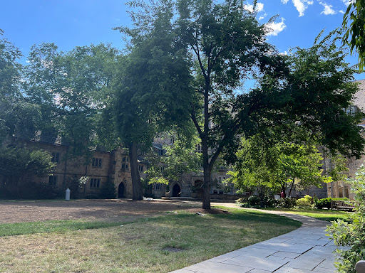 Art Gallery «Yale University Art Gallery», reviews and photos, 1111 Chapel St, New Haven, CT 06510, USA