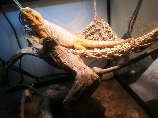 Pet Supply Store «Pet Supplies Plus», reviews and photos, 171 Sockanosset Cross Rd, Cranston, RI 02920, USA