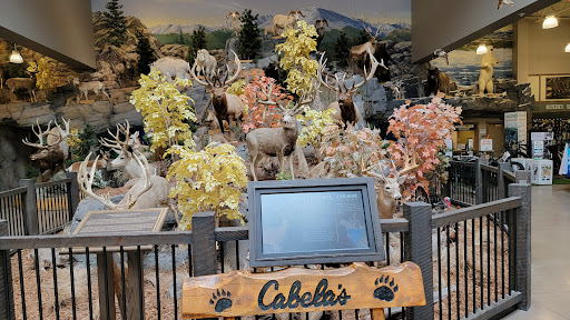 Sporting Goods Store «Bass Pro Shops Base Camp», reviews and photos, 2500 E Kearney St, Springfield, MO 65803, USA