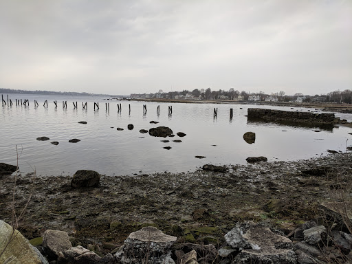 Tourist Attraction «Blithewold Mansion, Gardens & Arboretum», reviews and photos, 101 Ferry Rd, Bristol, RI 02809, USA