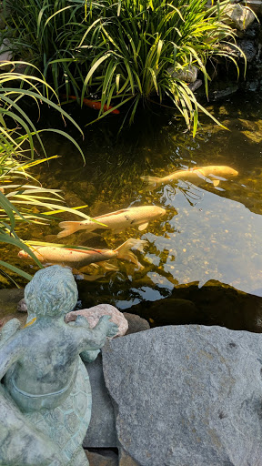 Pet Store «Farmer Girl Exotic Gardens», reviews and photos, 18940 Coastal Hwy, Rehoboth Beach, DE 19971, USA