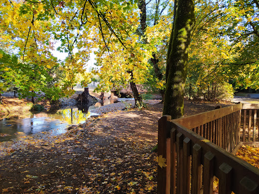 Park «Lynden City Park», reviews and photos
