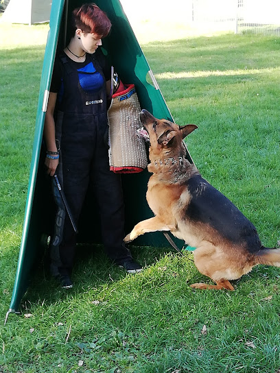 Verein für Deutsche Schäferhunde Ortsgruppe Arnsberg