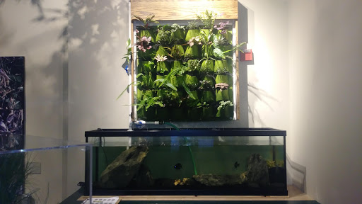 Educational Institution «The Audubon Society of Rhode Island Environmental Education Center», reviews and photos, 1401 Hope St, Bristol, RI 02809, USA