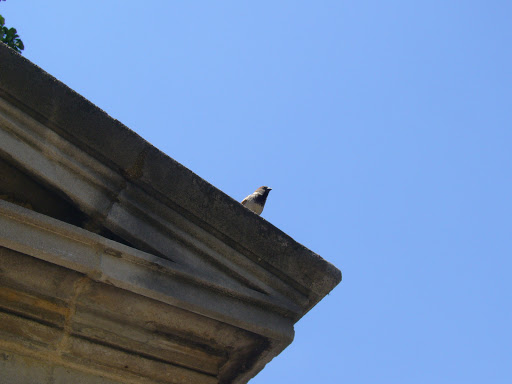 Monument «General William Tecumseh Sherman Monument», reviews and photos, Alexander Hamilton Pl NW, Washington, DC 20229, USA