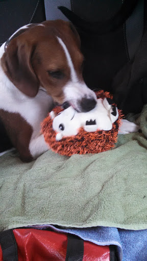 Pet Supply Store «PetSmart», reviews and photos, 2997 Max Ave, Bozeman, MT 59718, USA