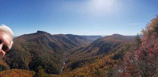 National Forest «Pisgah National Forest», reviews and photos, 1600 Pisgah Highway, Nebo, NC 28761, USA