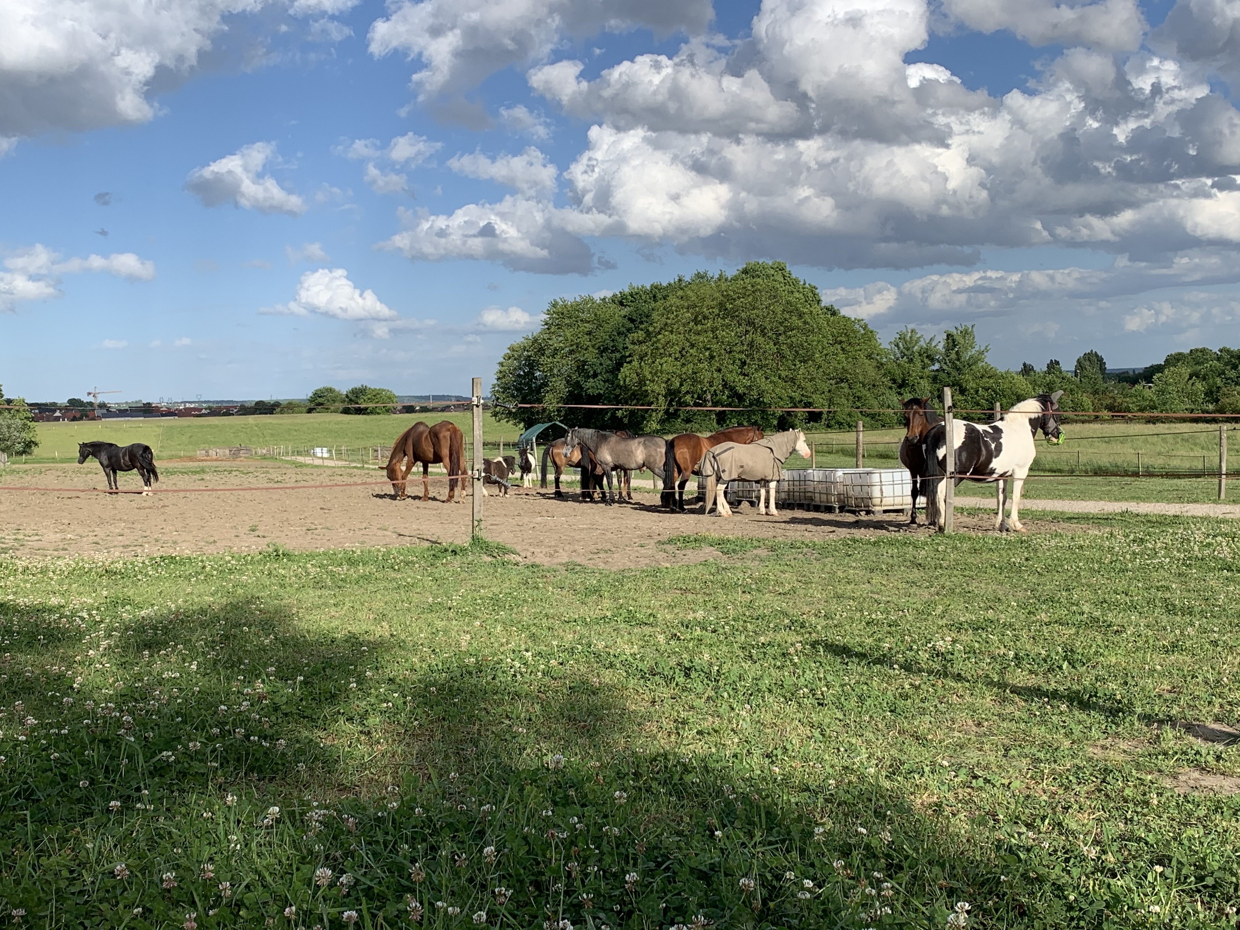 Photo n° 3 de l'avis de Constance.� fait le 17/05/2021 à 16:39
