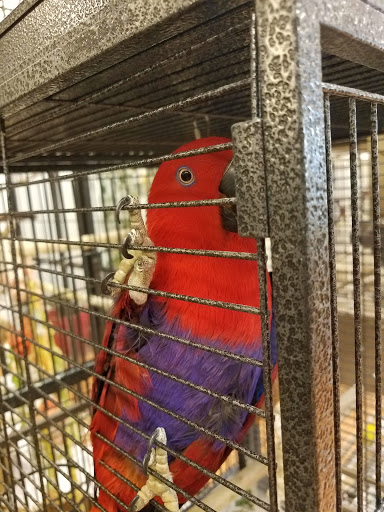 Shopping Mall «North Hanover Mall», reviews and photos, 1155 Carlisle St, Hanover, PA 17331, USA