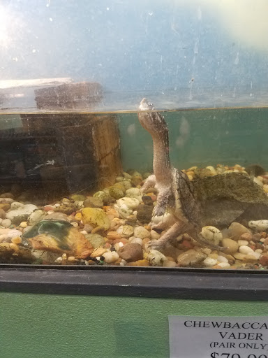 Pet Supply Store «House of Pets Inc», reviews and photos, 29500 Ford Rd, Garden City, MI 48135, USA