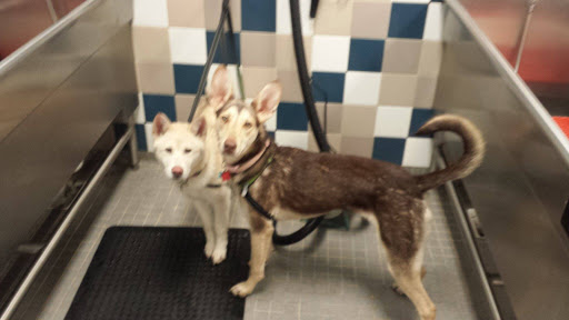 Pet Supply Store «Petco Animal Supplies», reviews and photos, 13691 Ridgedale Dr, Minnetonka, MN 55305, USA