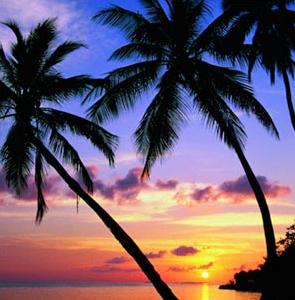 Moving and Storage Service «All My Sons Moving & Storage», reviews and photos, 15827 Guild Ct, Jupiter, FL 33478, USA