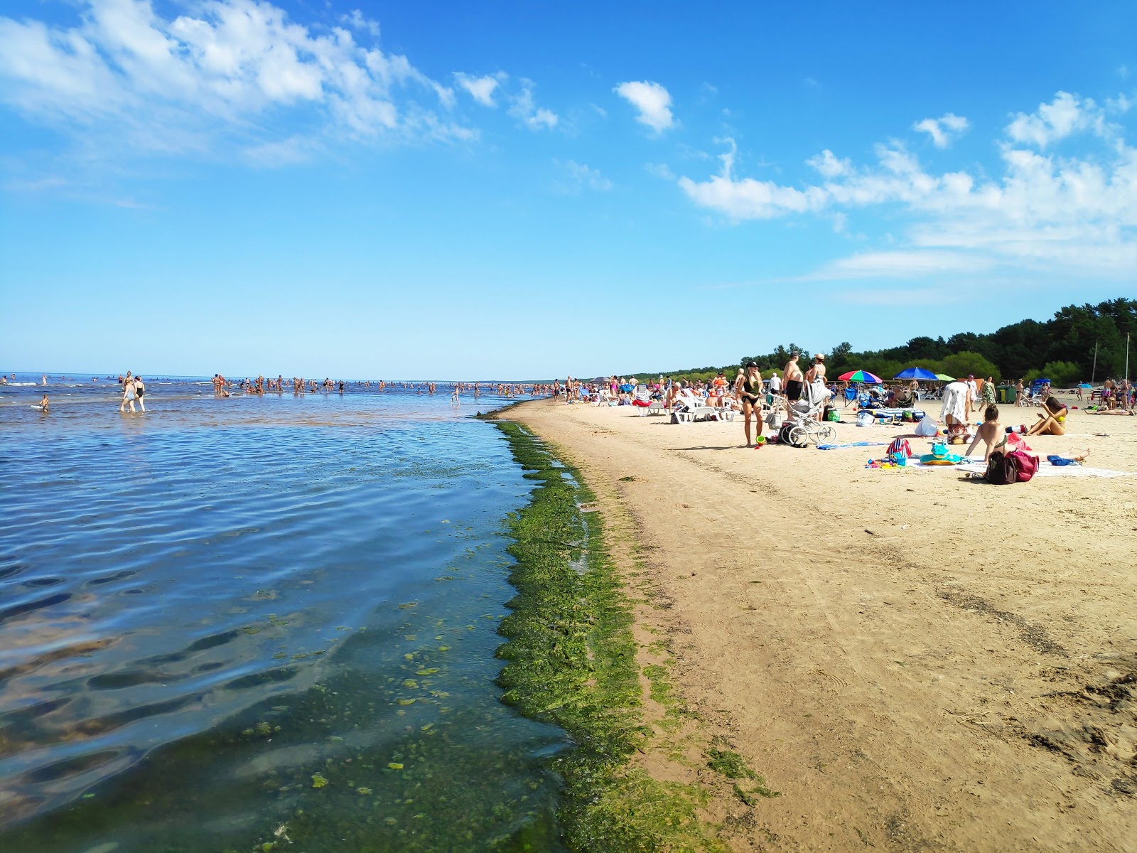 Valokuva Vecaki beachista. puhtaustasolla korkea