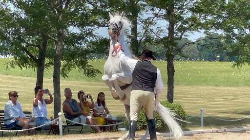 Tourist Attraction «The Tempel Lipizzans», reviews and photos, 17000 W Wadsworth Rd, Old Mill Creek, IL 60083, USA