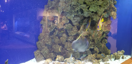 Aquarium «Newport Aquarium», reviews and photos, 1 Aquarium Way, Newport, KY 41071, USA