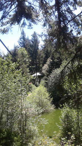 Campground «Camp Dakota», reviews and photos, 1843 Crooked Finger Rd NE, Scotts Mills, OR 97375, USA