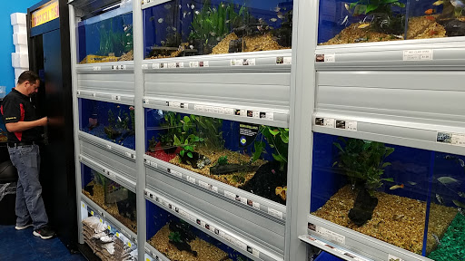 Pet Supply Store «Pet Supermarket», reviews and photos, 465 State Rd 13, Fruit Cove, FL 32259, USA