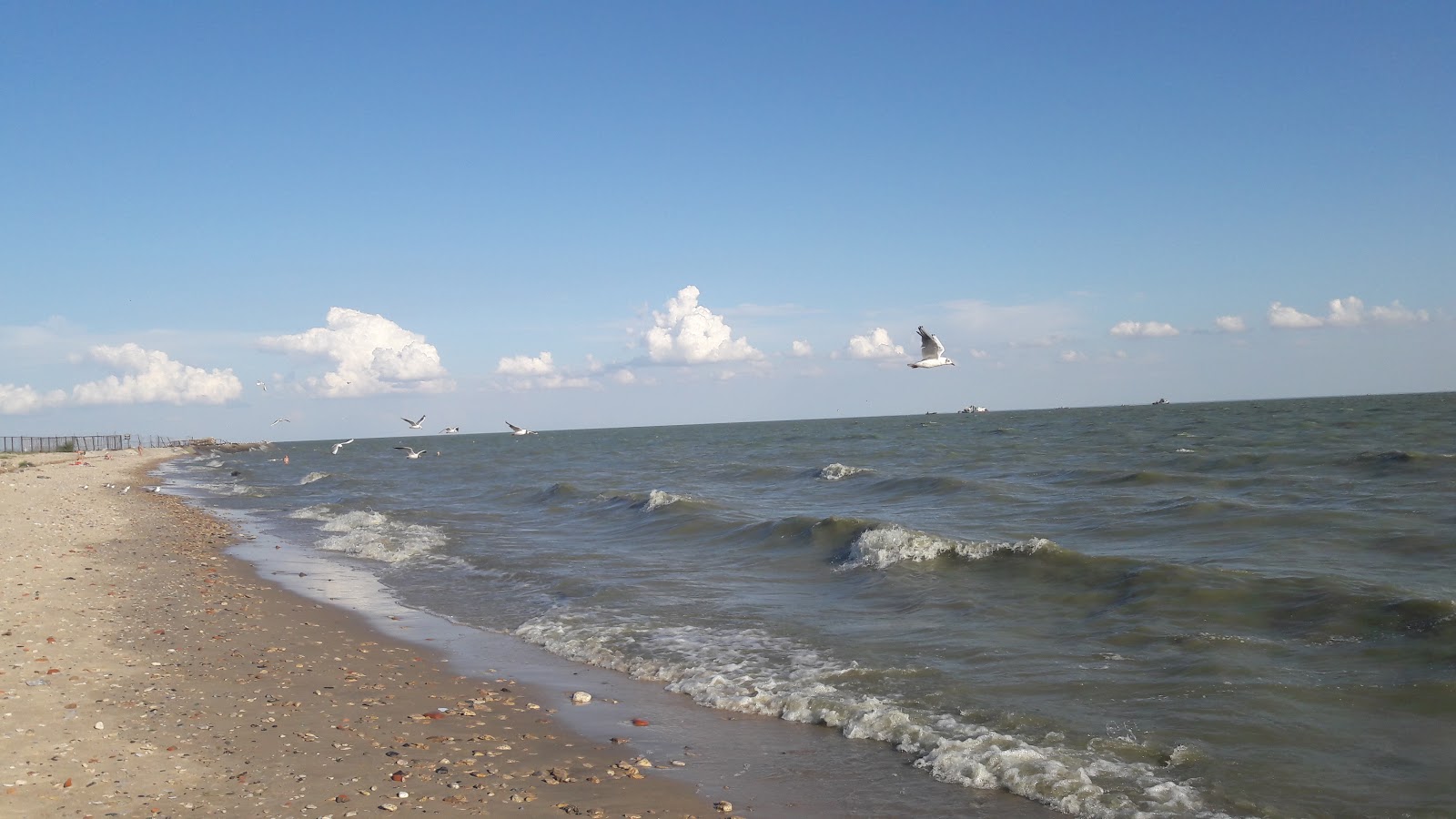 Photo de Sobachiy Plyazh zone sauvage