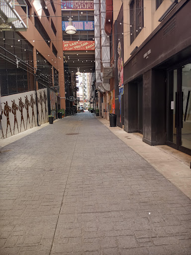 Comic Book Store «Vault of Midnight», reviews and photos, 1226 Library St, Detroit, MI 48226, USA