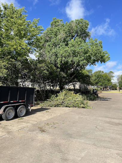 Master Trees Services Brenham, TX