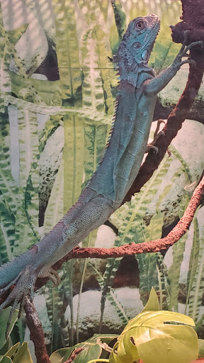 Pet Supply Store «Petco Animal Supplies», reviews and photos, 2621 MacArthur Rd, Whitehall, PA 18052, USA