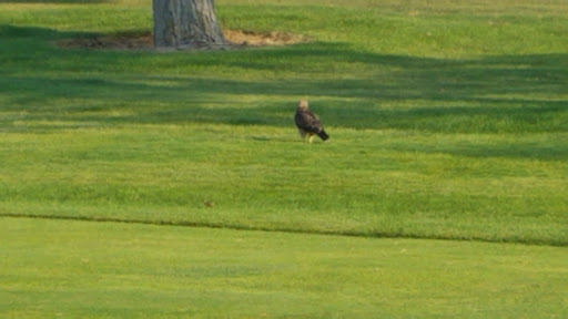 Golf Course «Shadow Valley Golf Course», reviews and photos, 15711 N Horseshoe Bend Rd, Garden City, ID 83714, USA