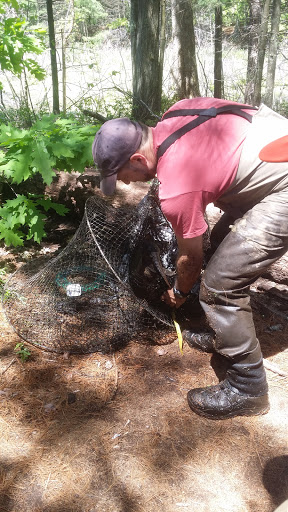 Wildlife Refuge «Great Meadows National Wildlife Refuge», reviews and photos, 73 Weir Hill Rd, Sudbury, MA 01776, USA