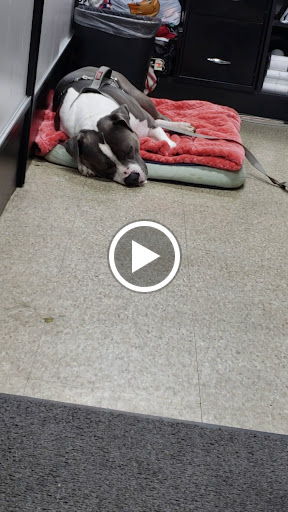 Vaporizer Store «PINEAPPLE XPRESS SMOKE SHOP», reviews and photos, 888 Pleasant Hill Rd, Lilburn, GA 30047, USA