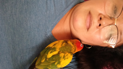 Pet Store «Animal Lovers Pet Shop», reviews and photos, 24028 Vista Montana, Torrance, CA 90505, USA