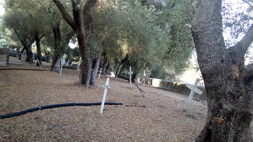 Gas Station «Valero», reviews and photos