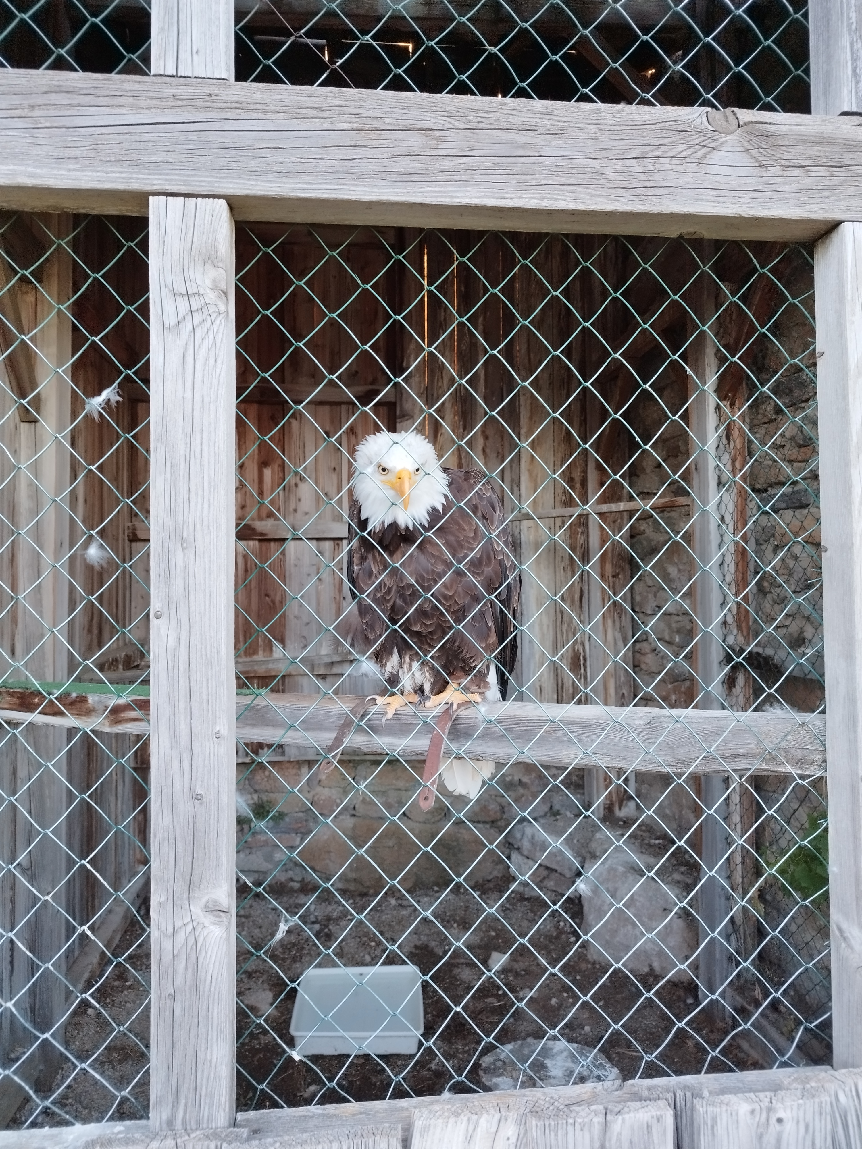 Photo n° 3 de l'avis de Océane.a fait le 23/08/2023 à 08:49