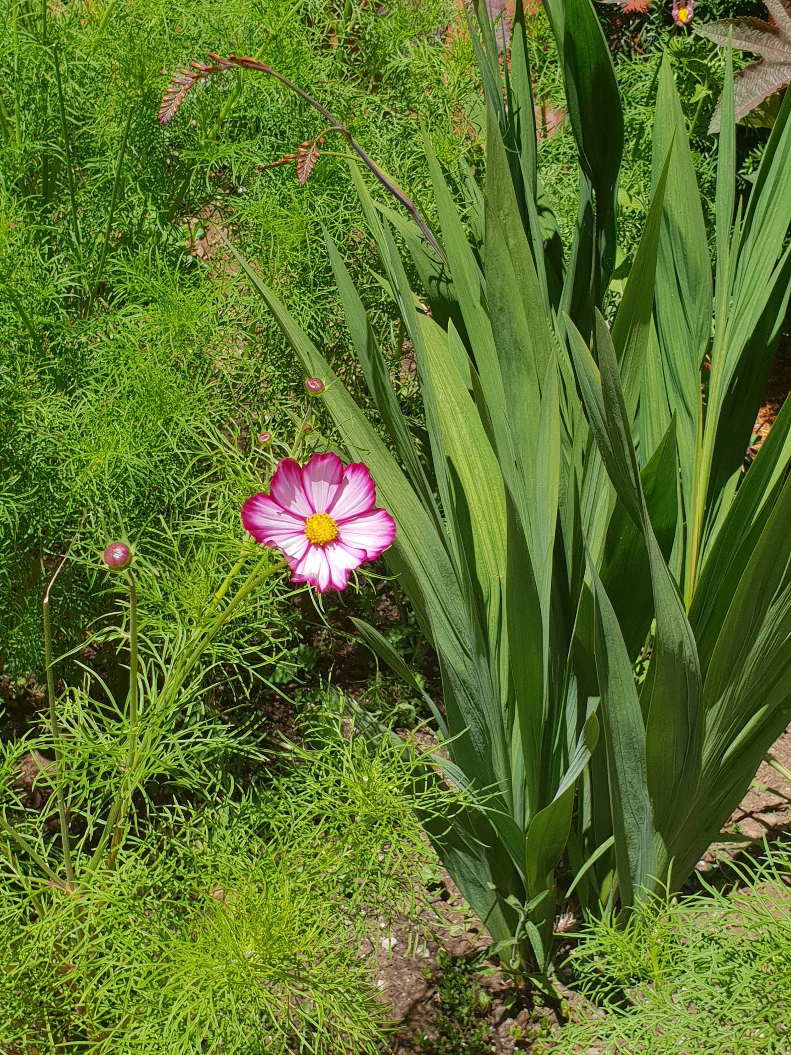 Photo n° 9 de l'avis de claire.I fait le 06/07/2020 à 04:50