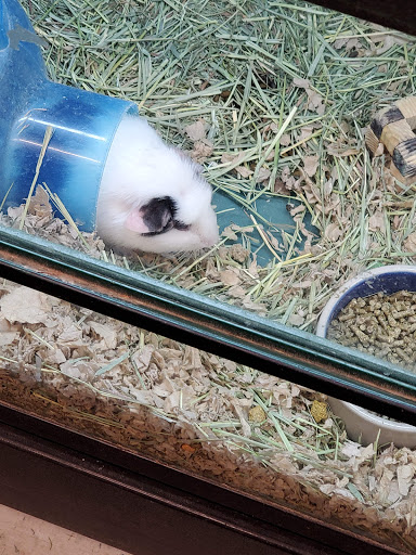 Pet Supply Store «Pet Supplies Plus», reviews and photos, 2155 Delaware Ave, Buffalo, NY 14216, USA