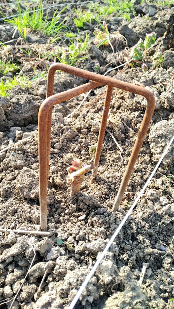 Photo n° 3 de l'avis de Andrew.e fait le 16/04/2018 à 16:07