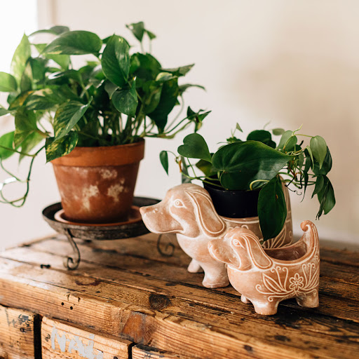 Home Goods Store «Ten Thousand Villages», reviews and photos, 105 W Main St, Charlottesville, VA 22902, USA