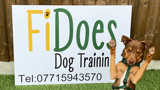 FiDoes Dog Training